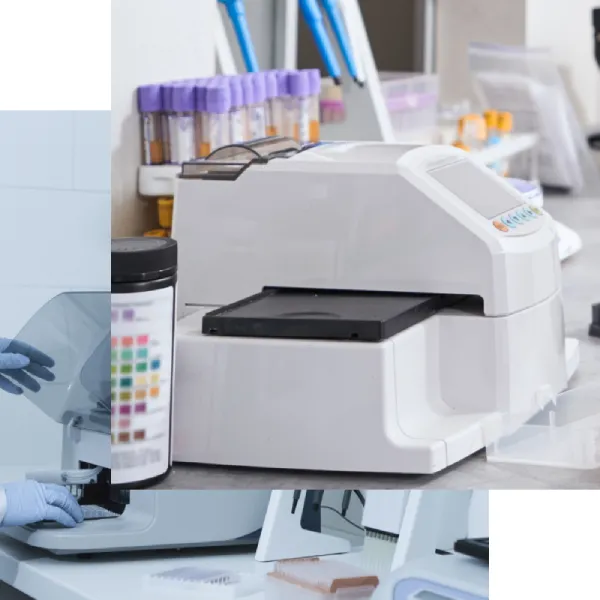 laboratorio